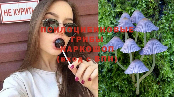 кокаин Богданович